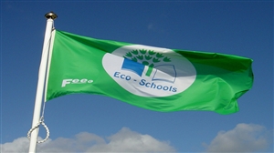 مدارس النظم الحديثة تحتفل برفع العلم البيئي لعامها الثالث على التوالي