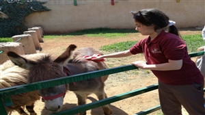طالبات نادي رعاية الحيوان في مدارس النظم الحديثة في زيارة للمركز التعليمي لرعاية الحيوان